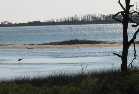 Big Lagoon State Park