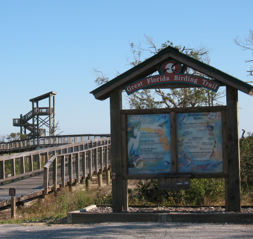 observation tower