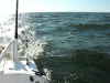 downwind1.jpg