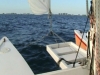 gulfchop.jpg