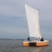 lightwinds2.jpg