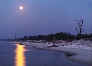 Horn Island