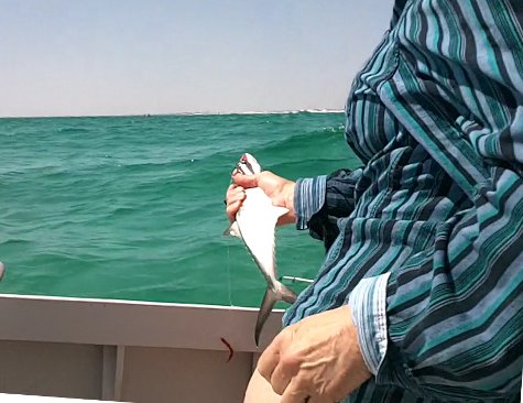 Nancy fishing in the swells